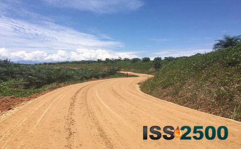 Suelo mejorado con ISS 2500